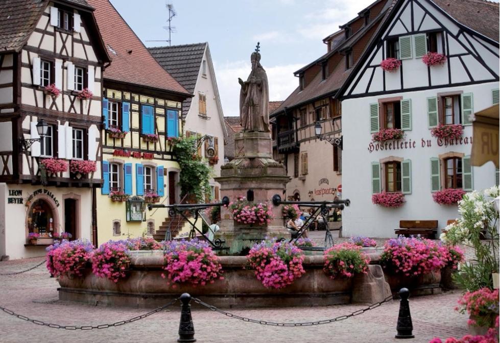 Relais Des Vosges Apartment Husseren-Wesserling Luaran gambar
