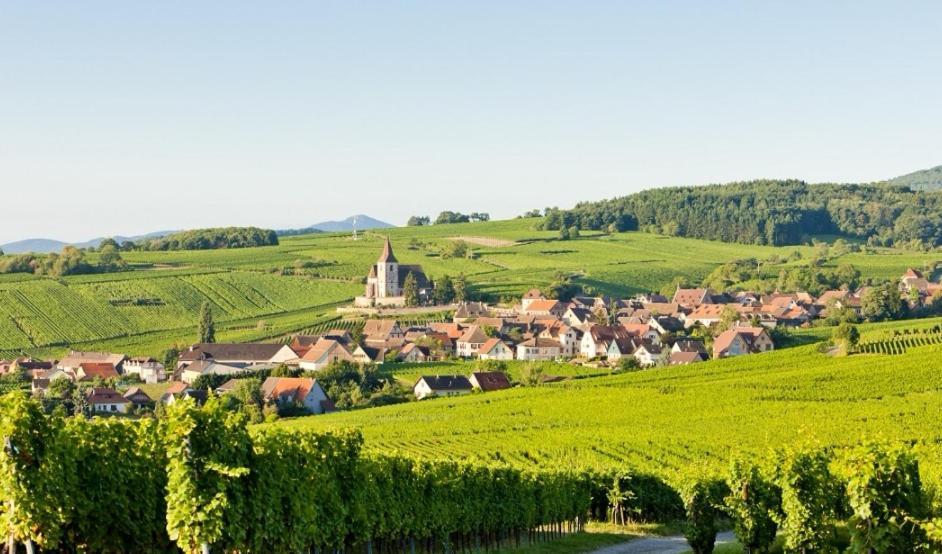 Relais Des Vosges Apartment Husseren-Wesserling Luaran gambar
